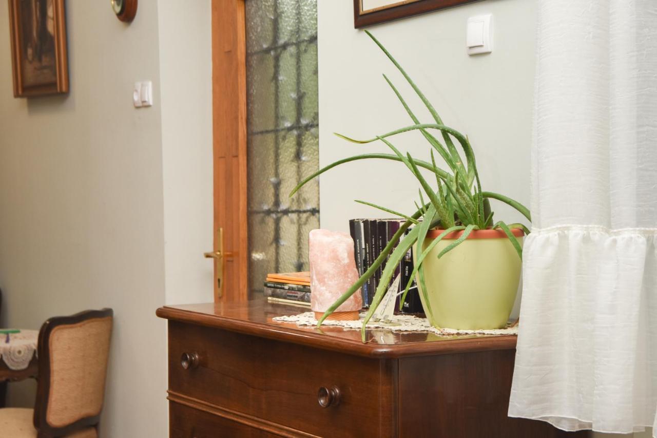 Apartman Woolf Senta Экстерьер фото
